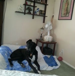 Meet your Posher, Tonka